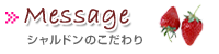ɂmَqlC̃VhB̂ЉB